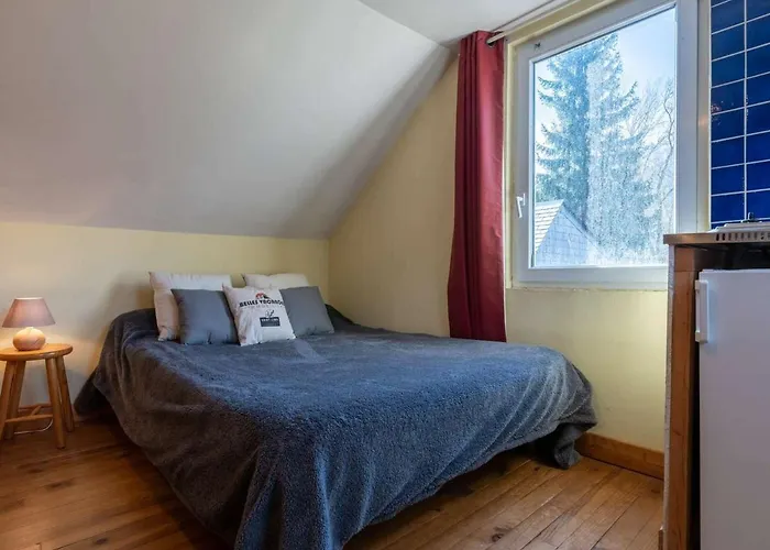 Vakantiehuis Maison Spacieuse Pour 11 Pers. Avec Terrasses Et Jardin A - Fr-1-296-335